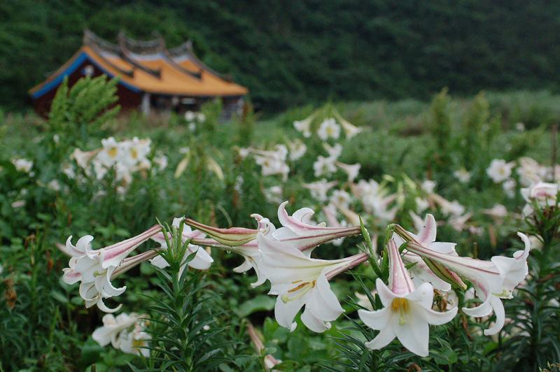 GO GO台湾 - 2019-05-11　亀山島