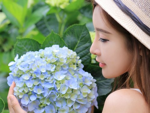 GO GO台湾 - 2019-05-18　陽明山の紫陽花フェス