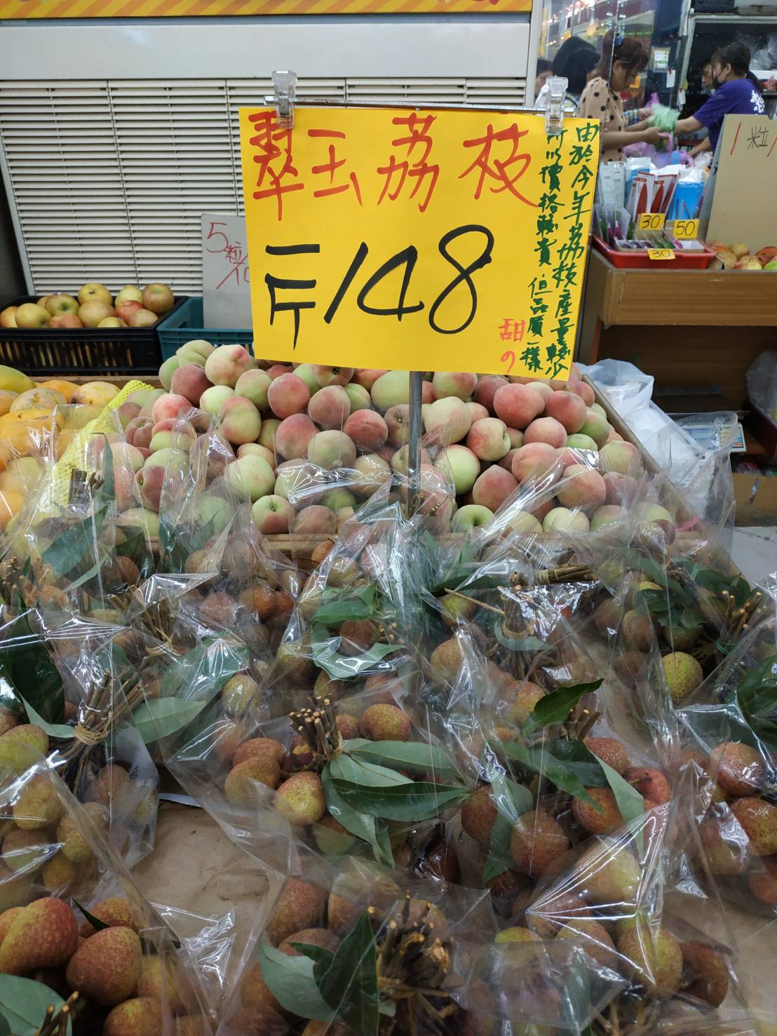 宝島再発見