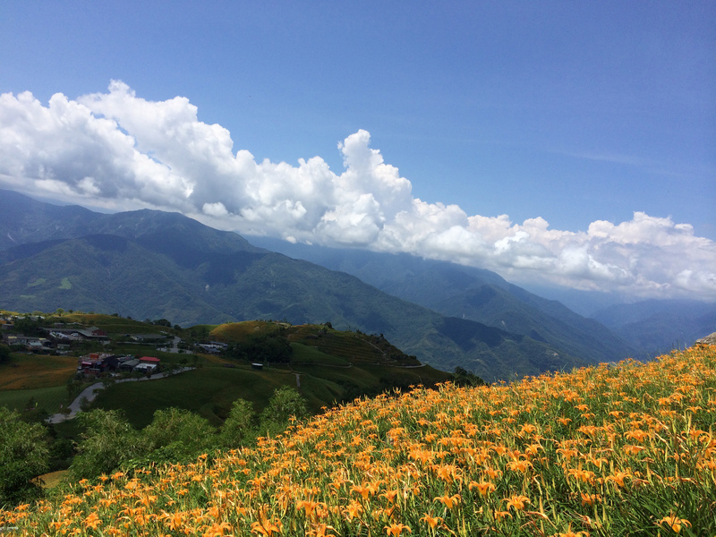 よもやま台湾(2019-08-13)　花蓮にて「忘れ草花見祭」開催中
