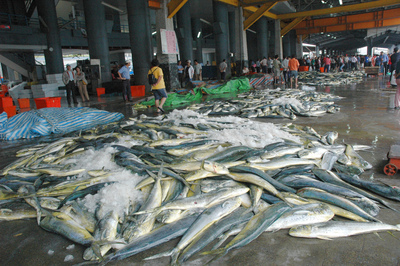 数字の台湾（2019-10-21）台湾人の食事が魚から牛肉へ、魚類の消費量が32％減少