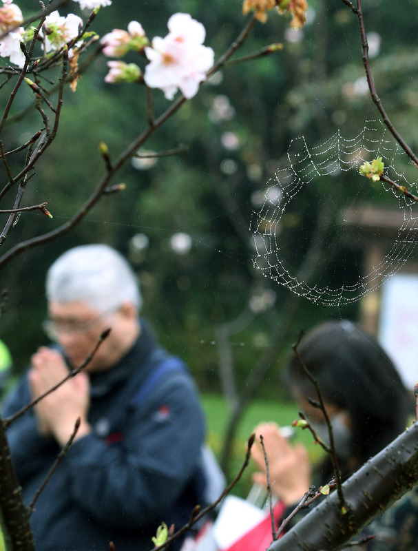 文化の台湾 - 2020-04-08台湾のお葬式事情について