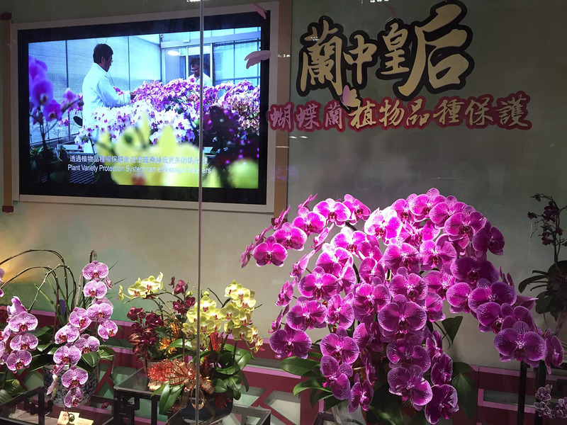 台湾経済最前線（2020-04-23）台湾の花の生産は年間165億台湾元、新型コロナウイルス感染の影響で輸出が打撃