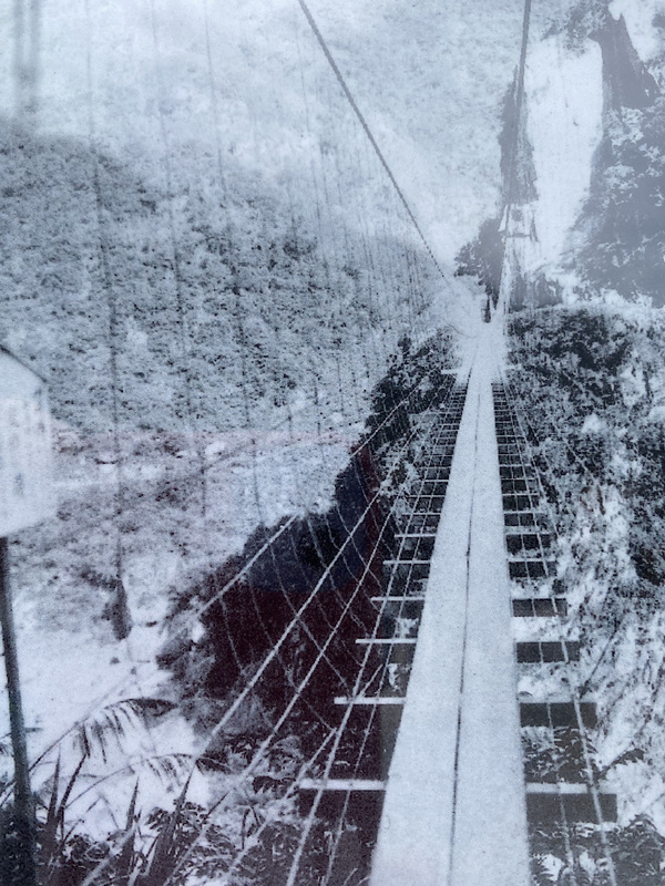 宝島再発見