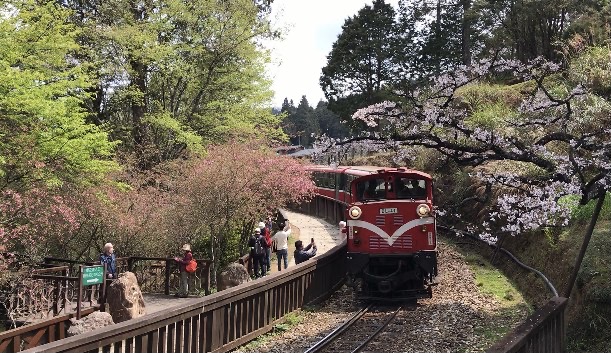 馬場克樹の「とっても台湾」（爸爸桑的「非常台灣」）台湾散策：阿里山の達人・黄源明さんに聞く阿里山の魅力 - 2023-04-23