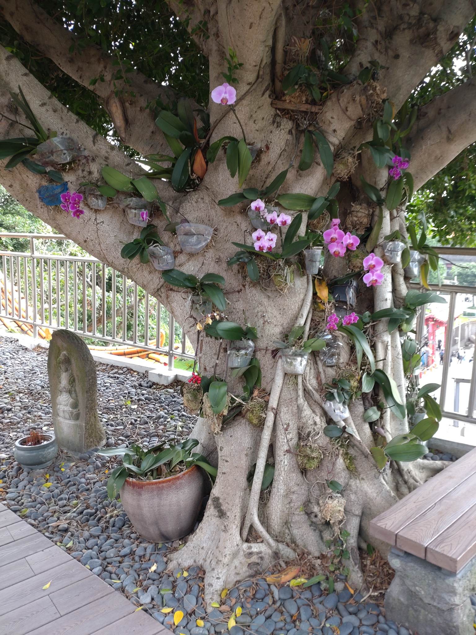 タイムトリップ（時空の旅）