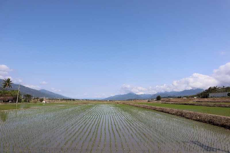 文化の台湾 - 2024-05-03_立夏