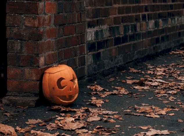 ミュージックステーション - 2024-10-28_ハロウィン特集！