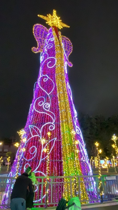 GO GO台湾 - 2024-12-21_クリスマススポット