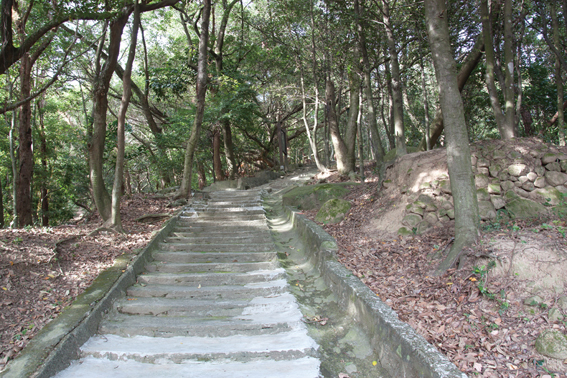 宝島再発見
