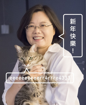 ようこそT-roomへ（2016/02/03）蔡英文・次期総統をアゴで使うにゃんこ　蔡想想