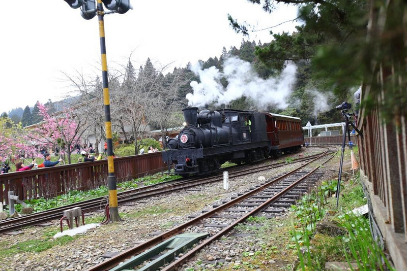 よもやま台湾（2017/03/28)　国宝級の山岳鉄道、阿里山鉄道に資金難