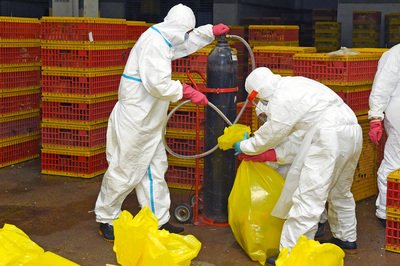 台湾、三人目のH7N9感染者発見