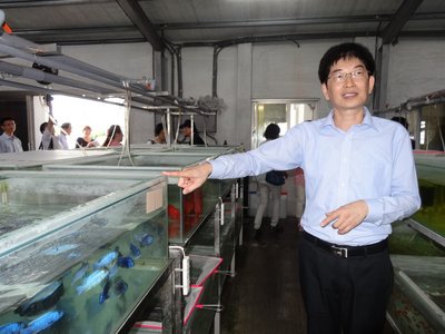 自由経済区に先行、観賞魚中継センター設立へ