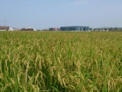 農委会主任委員、訪米で農業面での連携促す