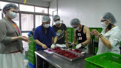 台湾の常温乾燥技術、日本も参観に訪れる