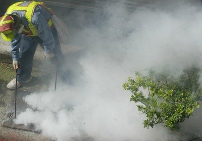 デング熱発症者数、過去最高を再び更新