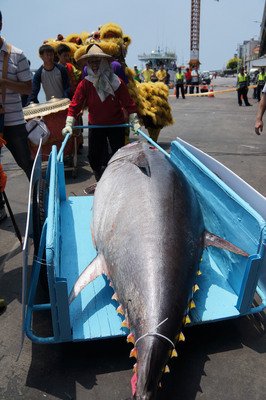 漁業署：中西太平洋のマグロ幼魚の漁獲半分に