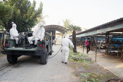 台湾で高病原性H5N8鳥インフル初検出