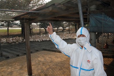 鳥インフル、行政院長が警戒強化指示