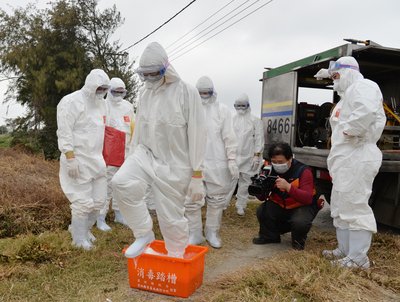 鳥インフルが北部に拡大、政府は全力対応