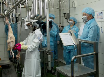 農委会、家きん処理場の業務を再開
