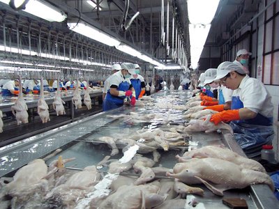 鳥インフル防止、家禽処理場4日間休業