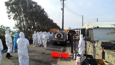 鳥インフルが鶏へ、地鶏が値下がり
