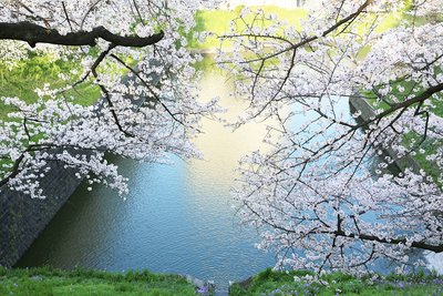 外交部、日本国会議員靖国参拝に遺憾表明