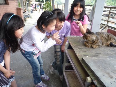 村上春樹さん、台湾の「猫村」に興味