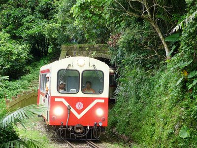 阿里山クルーズ列車、夏に運行