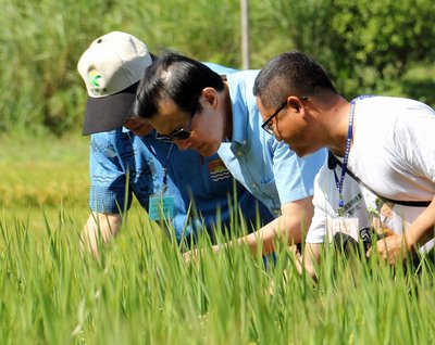 馬・総統、若者の農業への参入を希望