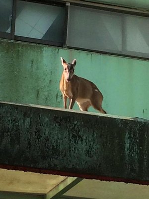 第四原発、7/1より密封保存