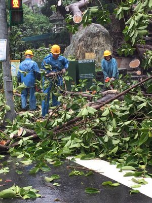 台風9号去るも豪雨注意報などは継続
