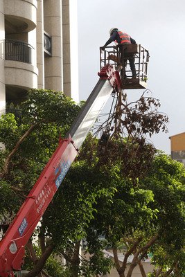 蘭嶼、緑島が暴風域に（台風15号）