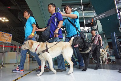 盲導犬と飼い主の物語が教科書に