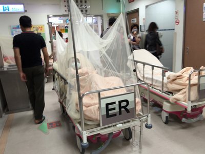 台南市のデング熱、3000例超に