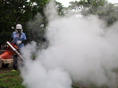 デング熱感染者16658人に