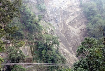 阿里山森林鉄道、年内の全面復旧叶わず