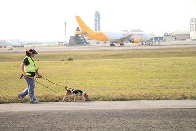 桃園国際空港、新管制塔は18年完成