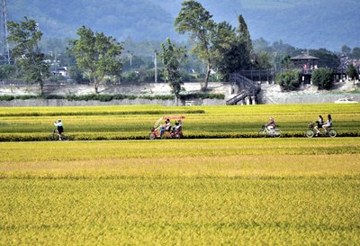 体育署、十大自転車道路を発表
