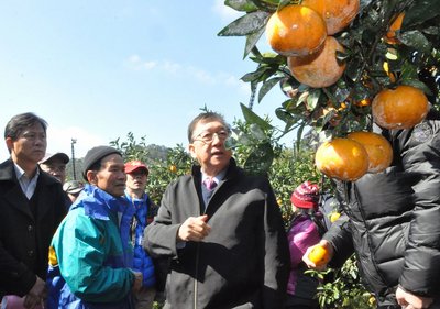 寒波で農業被害、初日で1.3億元