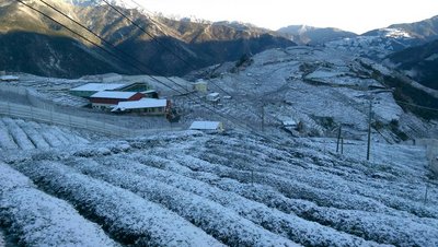 寒波なお威力、台北体感温度0-7度
