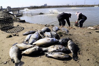 寒波の農業被害、2億元超に