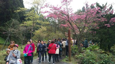 交通部、インセンティブ旅行誘致強化