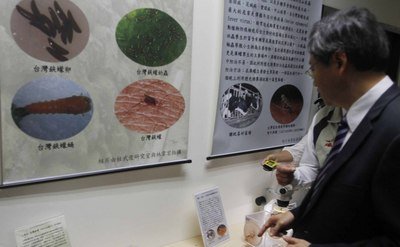 デング熱、海外からの感染例が増加