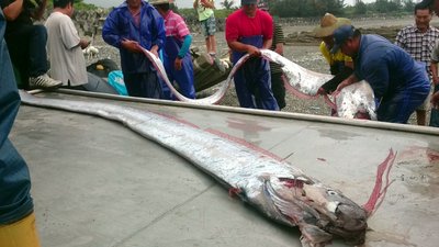 花蓮震源の地震続く、M5.7程度の余震も