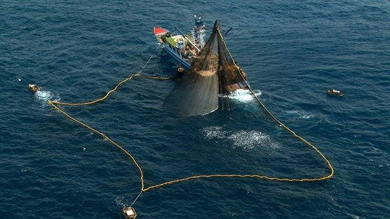外交部、漁業三法可決をEUに通知