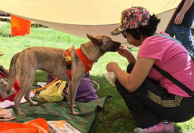 犬・猫の食用、初めて法律で禁止か