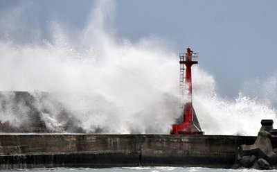 台風直撃で高鉄は8日全線運休